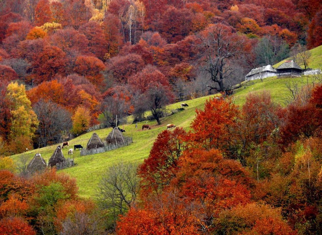 Mountain Vista Suites Zărneşti Buitenkant foto